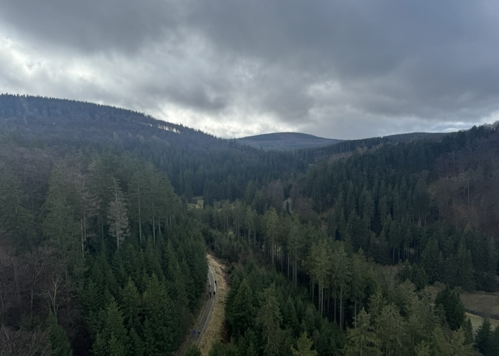 41b3fec4 7ddf 4a8d af8c 21192a7aed7a