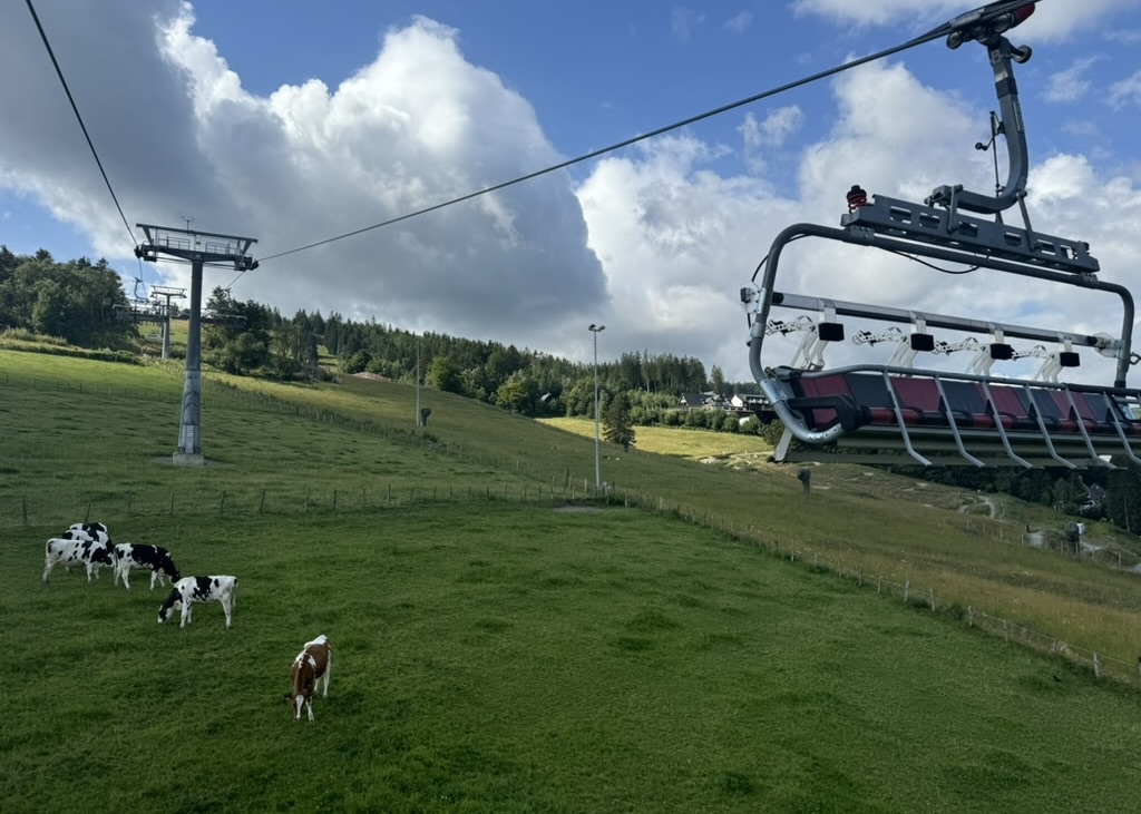 44499a66 3171 451e 93b3 16111cd616ff